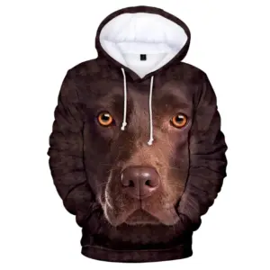 3 D Cartoon Saint Print Brown Youth Hoodie Pullover Hooded