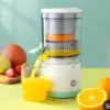 Green Juicer