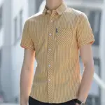 aea03a24-e37a-453b-b191-fc4080784ca3.webp Summer Mens Wrinkle Resistant Striped Drape Shirt