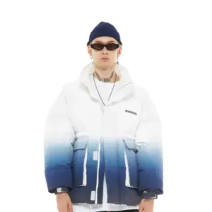 Positioning Printed Three-dimensional Pocket Cotton-padded Clothes