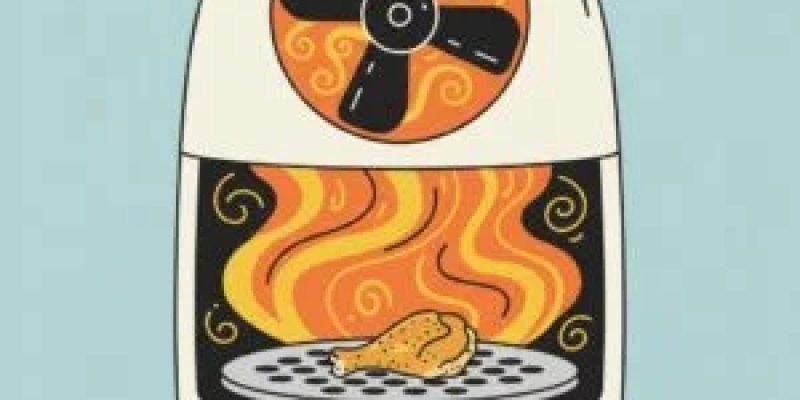 Your-Air-Fryer-is-Just-an-Overpriced-Mini-Oven-There.jpg