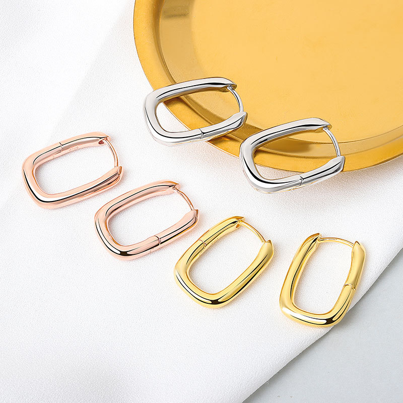 European and American fashion circle earrings, high-end earrings, feminine niche earrings, French style earrings, 2020 new trend