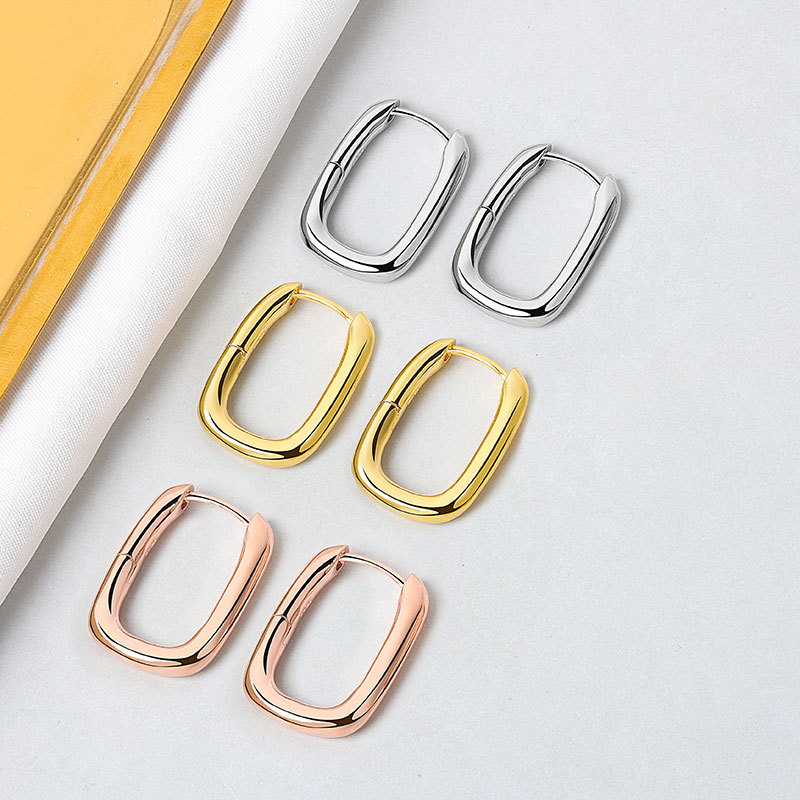 European and American fashion circle earrings, high-end earrings, feminine niche earrings, French style earrings, 2020 new trend