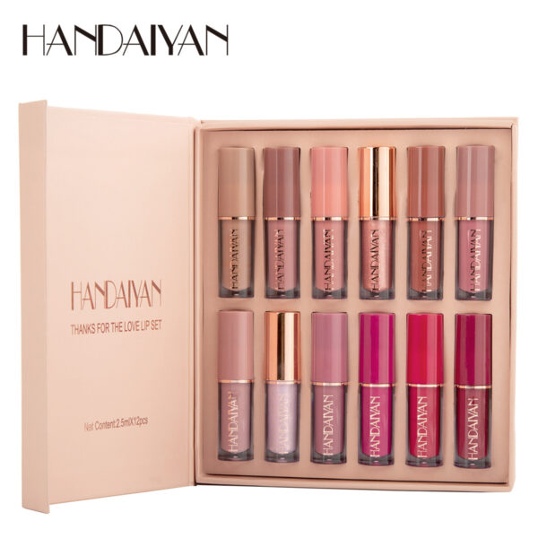 Explosive foreign trade HANDAIYAN 12-color book lip gloss set matte pearlescent non-stick cup lip glaze lipstick cross-border Explosive foreign trade HANDAIYAN 12-color book lip gloss set matte pearlescent non-stick cup lip glaze lipstick cross-border