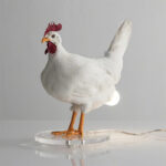 O1CN01BjgPzN2Gi2LREzVSO_2209606839048-0-cib.jpg New cross-border style Easter white rooster lamp, artificial chicken ornament, resin design table lamp bulb.