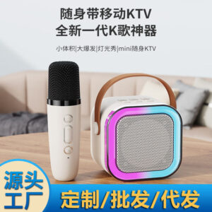 Bluetooth 5.3 Karaoke Speaker with Mic, USB Power, 10 M