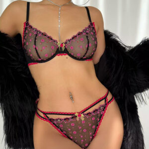 Ultra-thin transparent embroidered lace bra set for women