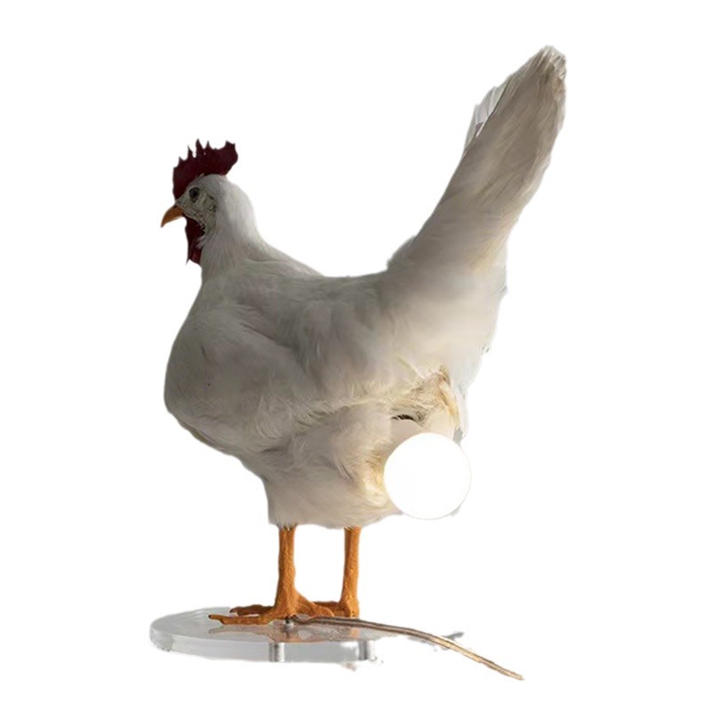 New cross-border style Easter white rooster lamp, artificial chicken ornament, resin design table lamp bulb. New cross-border style Easter white rooster lamp, artificial chicken ornament, resin design table lamp bulb.