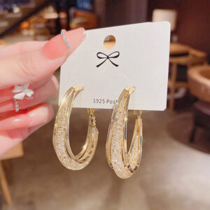 S925 Silver Needle Tide Crystal Grid Circle Earrings Female Niche Design Earrings Net Red Autumn and Winter Earrings Earrings