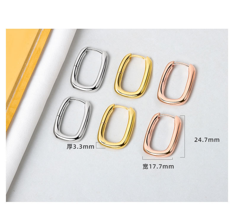 European and American fashion circle earrings, high-end earrings, feminine niche earrings, French style earrings, 2020 new trend