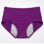 028d3168-7196-44d8-b6f3-5078c1b9ce5f-1.jpg Period Leak Proof Panties Women Underwear Pants Nylon Briefs