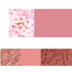 NOVO Eyeshadow Palette