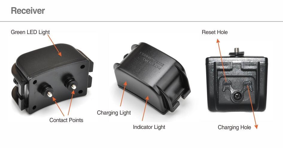 Rechargeable Distance Training Electric Shock Collar Necklace for Dogs