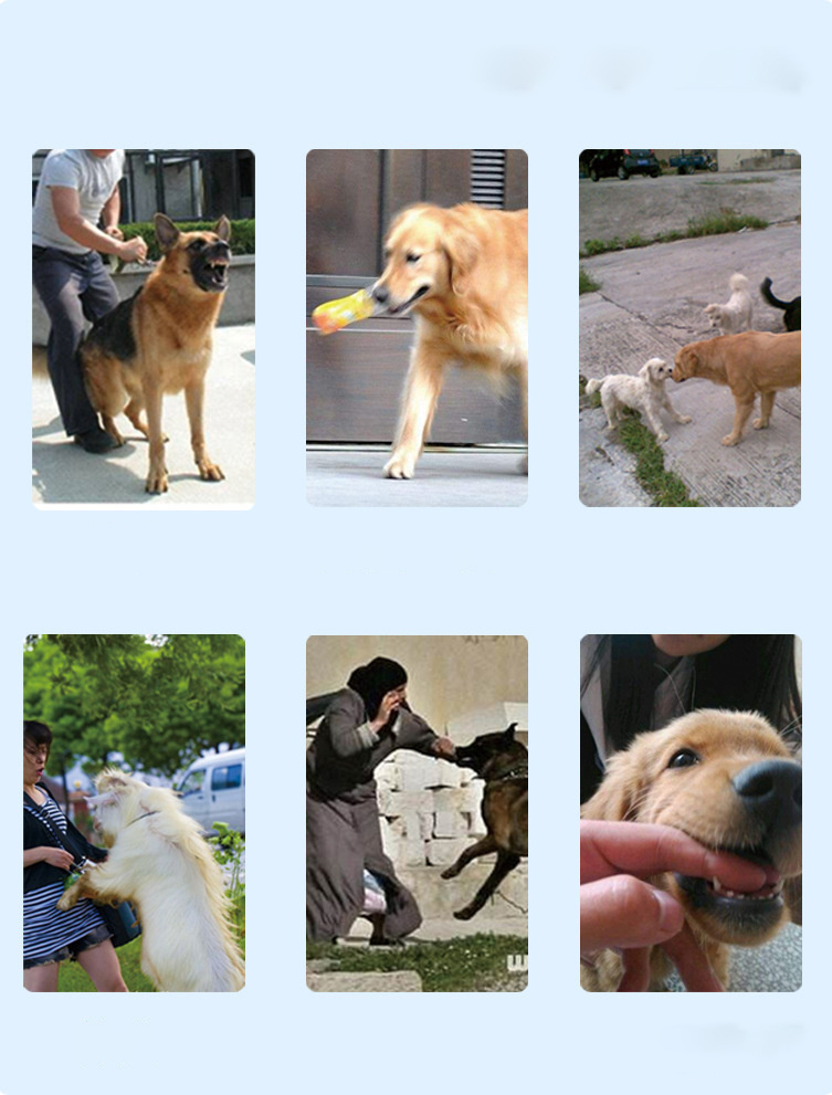 Rechargeable Remote Control Dog Training Device Pet Supplies Rechargeable Bark Stopper Rechargeable Remote Control Dog Training Device Pet Supplies Rechargeable Bark Stopper