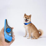 1617673356407.jpg Rechargeable Remote Control Dog Training Device Pet Supplies Rechargeable Bark Stopper