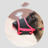 Anti-Bite Anti-Eat Teddy Dog Muzzle Cover with Bark Stopper - Red Anti-Bite Anti-Eat Teddy Dog Muzzle Cover with Bark Stopper - Red