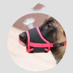 Anti-Bite Anti-Eat Teddy Dog Muzzle Cover with Bark Stopper - Red