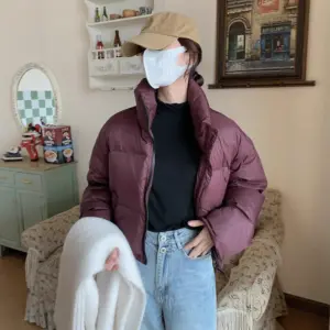 Warm Short Women’s Down Jacket, Stand Collar Zipper