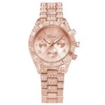 Sparkling Crystal Geneva Quartz Women’s Watch, Stainless Steel