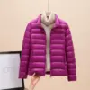 Purple Stand Collar
