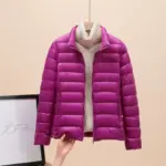 2acee55e-8405-464e-ba75-dc4ccfb5f3b7.webp Warmth-Boosting Lightweight Padded Short Down Jacket for Women