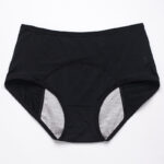2eabb952-8da6-499a-be06-71d5db5c5801-1.jpg Period Leak Proof Panties Women Underwear Pants Nylon Briefs