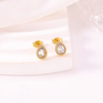 Stainless Steel Inlaid With Zircon Earrings Women's European And American Style