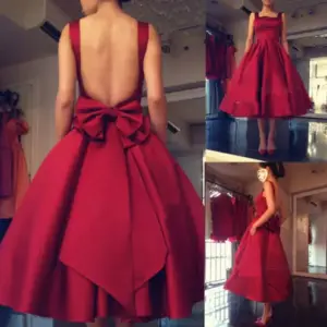 Wine Red Sleeveless Polyester Bridesmaid Mini Dress