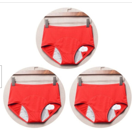 Period Leak Proof Panties Women Underwear Pants Nylon Briefs