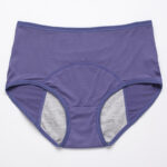 Period Leak Proof Panties Women Underwear Pants Nylon Briefs