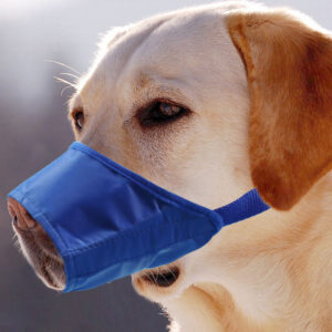 Waterproof Bark Control Dog Mouth Cover for Training - Nylon PVC