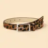 Leopard Print