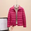 Rose Red Stand Collar
