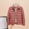 Pink Stand Collar