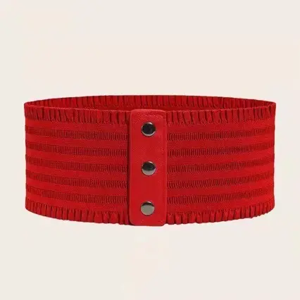 Simple Elastic Lace Trim Waistband For Skirt Hems