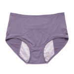 f14239d3-c066-4f20-a777-71cd2e836d7b-17.jpg Period Leak Proof Panties Women Underwear Pants Nylon Briefs