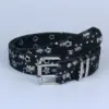 Casual Edgy And Stylish Jeans With A Sassy Belt For Women