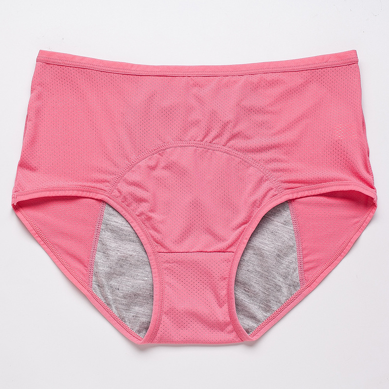 Period Leak Proof Panties Women Underwear Pants Nylon Briefs Period Leak Proof Panties Women Underwear Pants Nylon Briefs